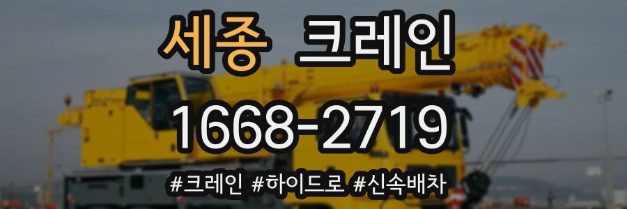 세종 크레인 작업