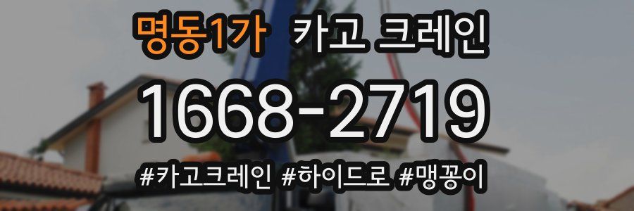 명동1가 크레인 작업