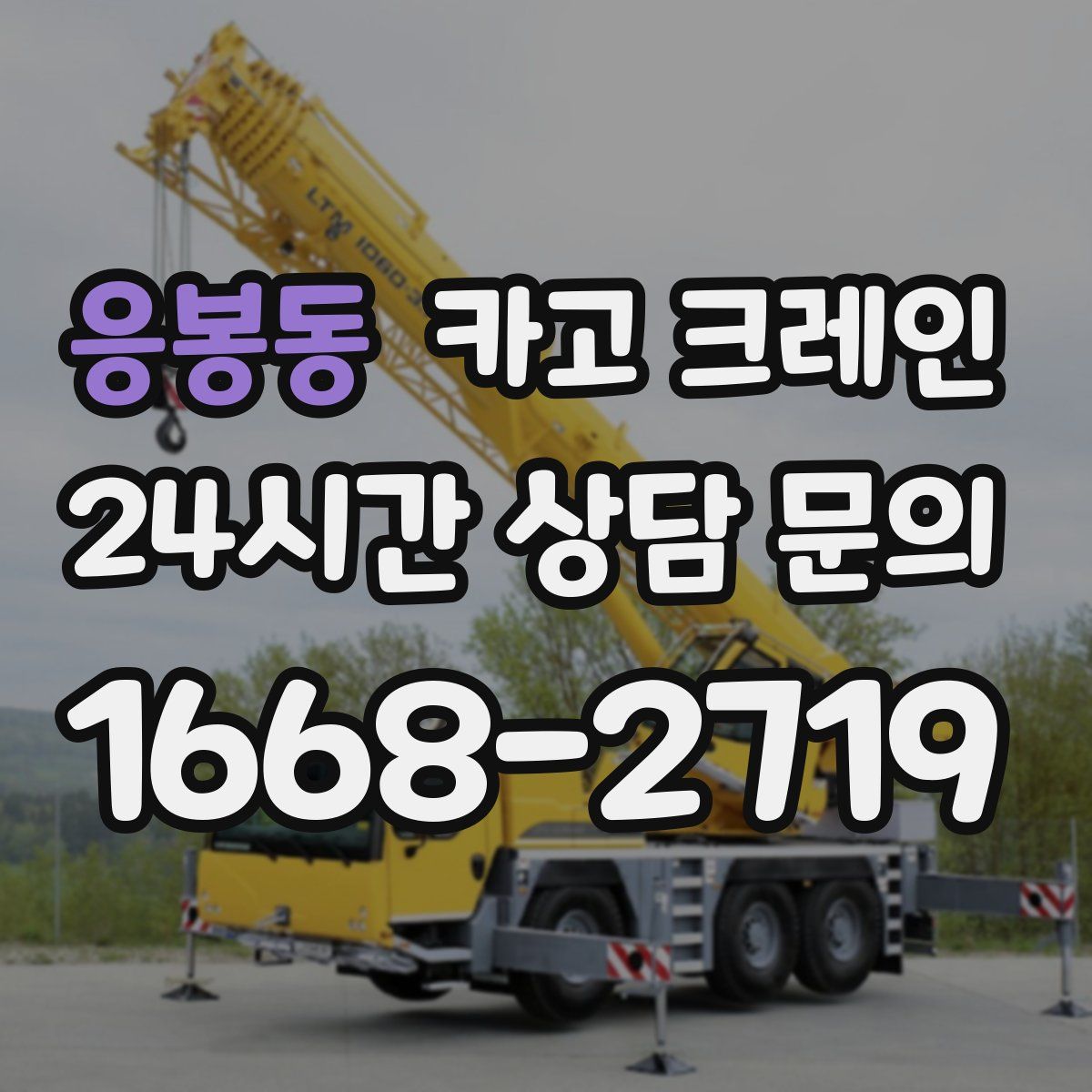 응봉동 카고 크레인