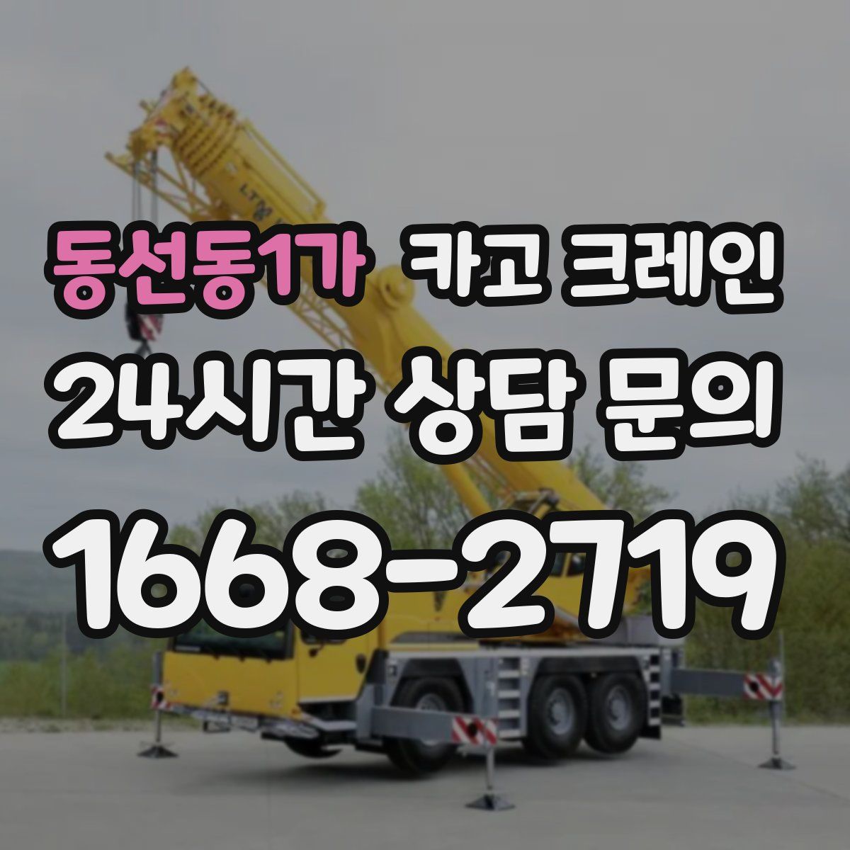 동선동1가 카고 크레인