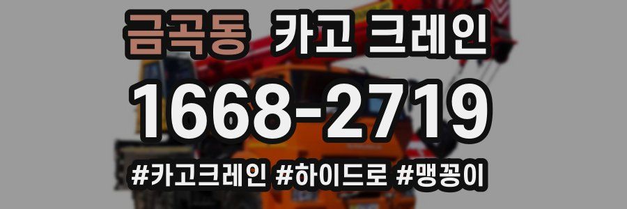 금곡동 크레인 작업