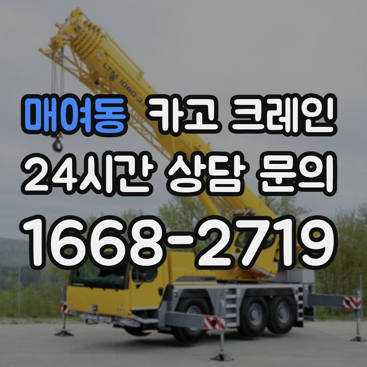 매여동 카고 크레인
