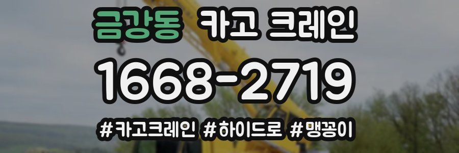 금강동 크레인 작업