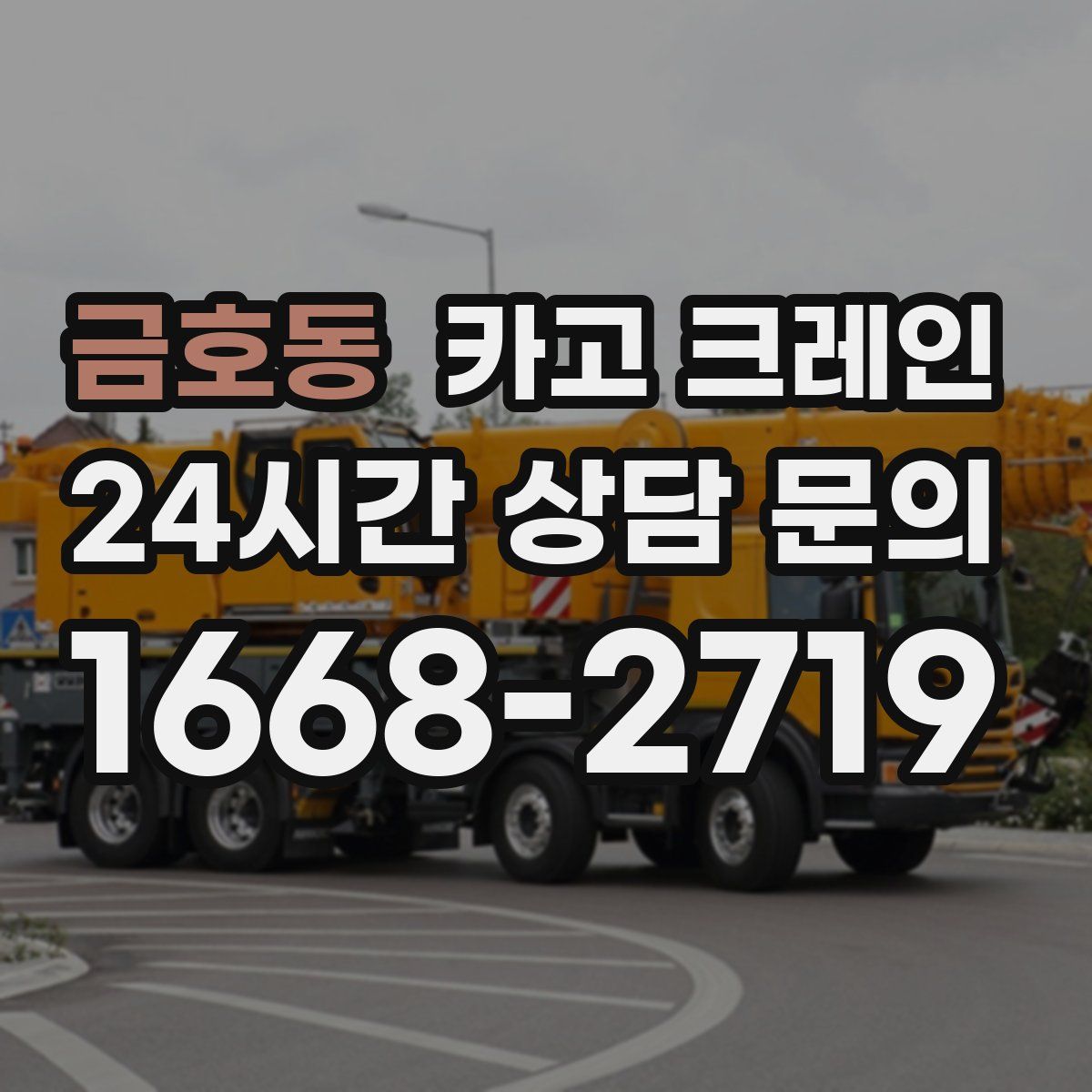 금호동 카고 크레인