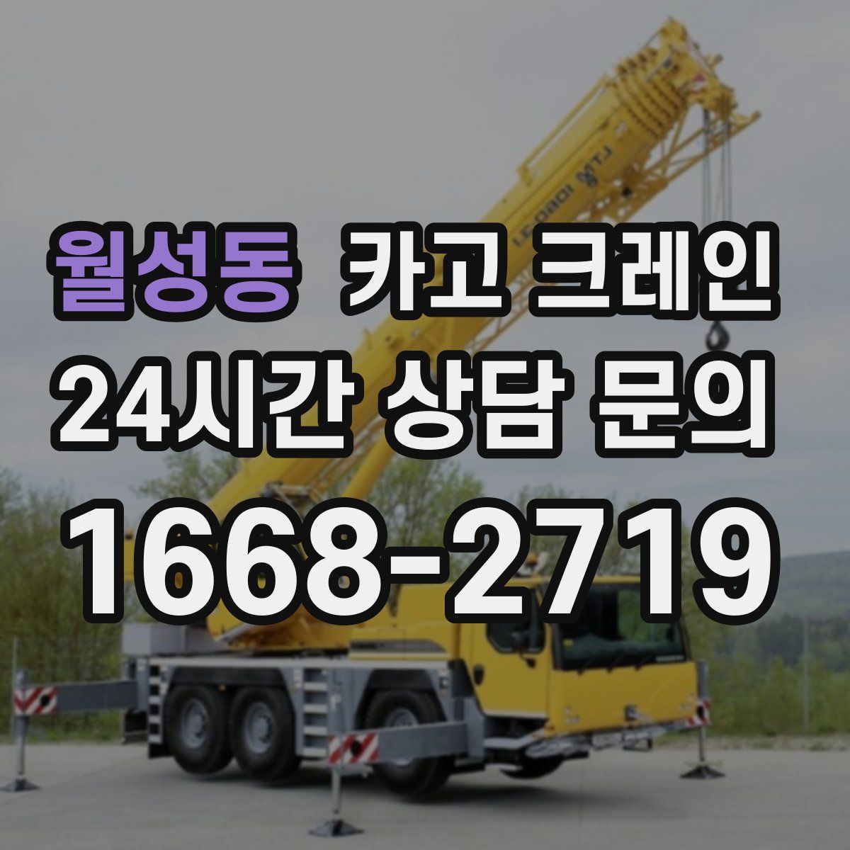 월성동 카고 크레인