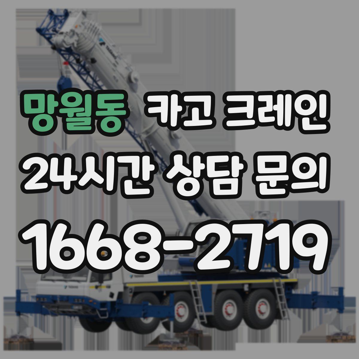 망월동 카고 크레인