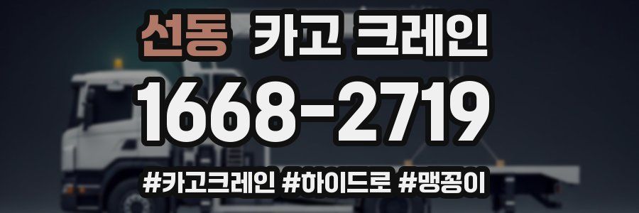 선동 크레인 작업