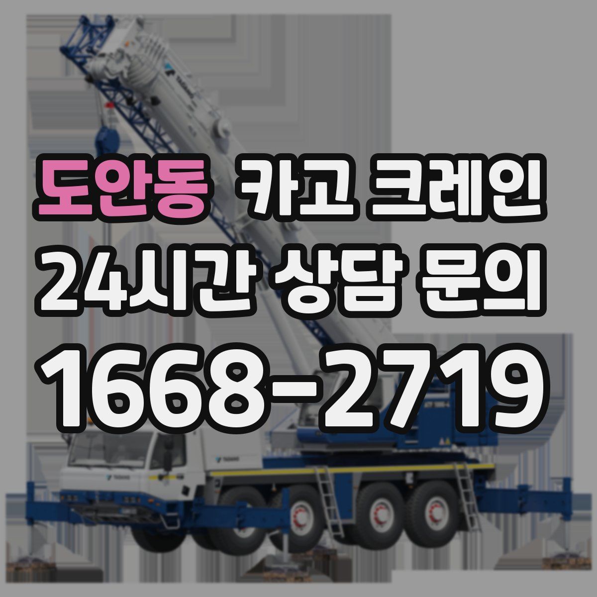 도안동 카고 크레인