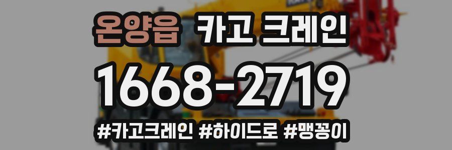 온양읍 크레인 작업