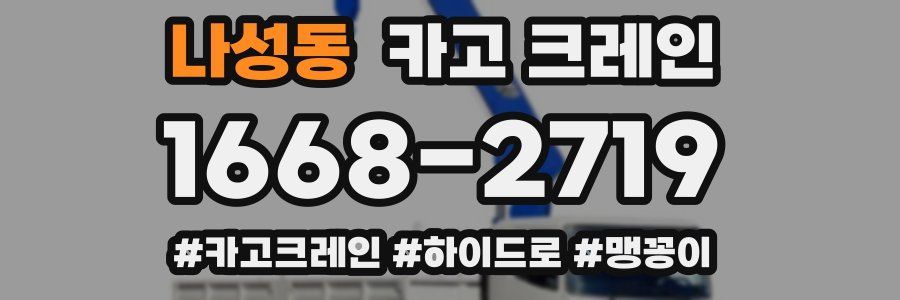 나성동 크레인 작업