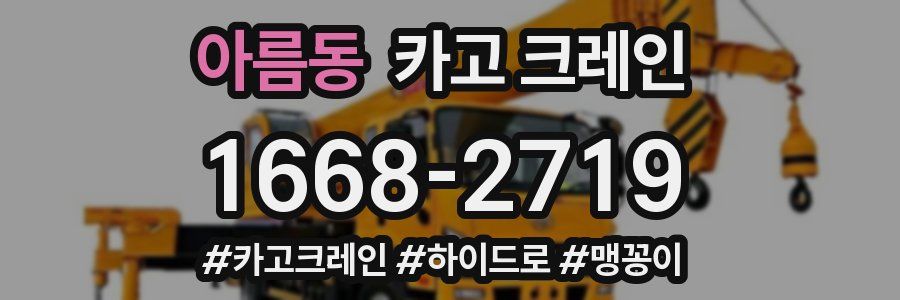아름동 크레인 작업