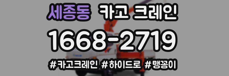 세종동 크레인 작업