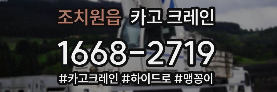 조치원읍 크레인 작업