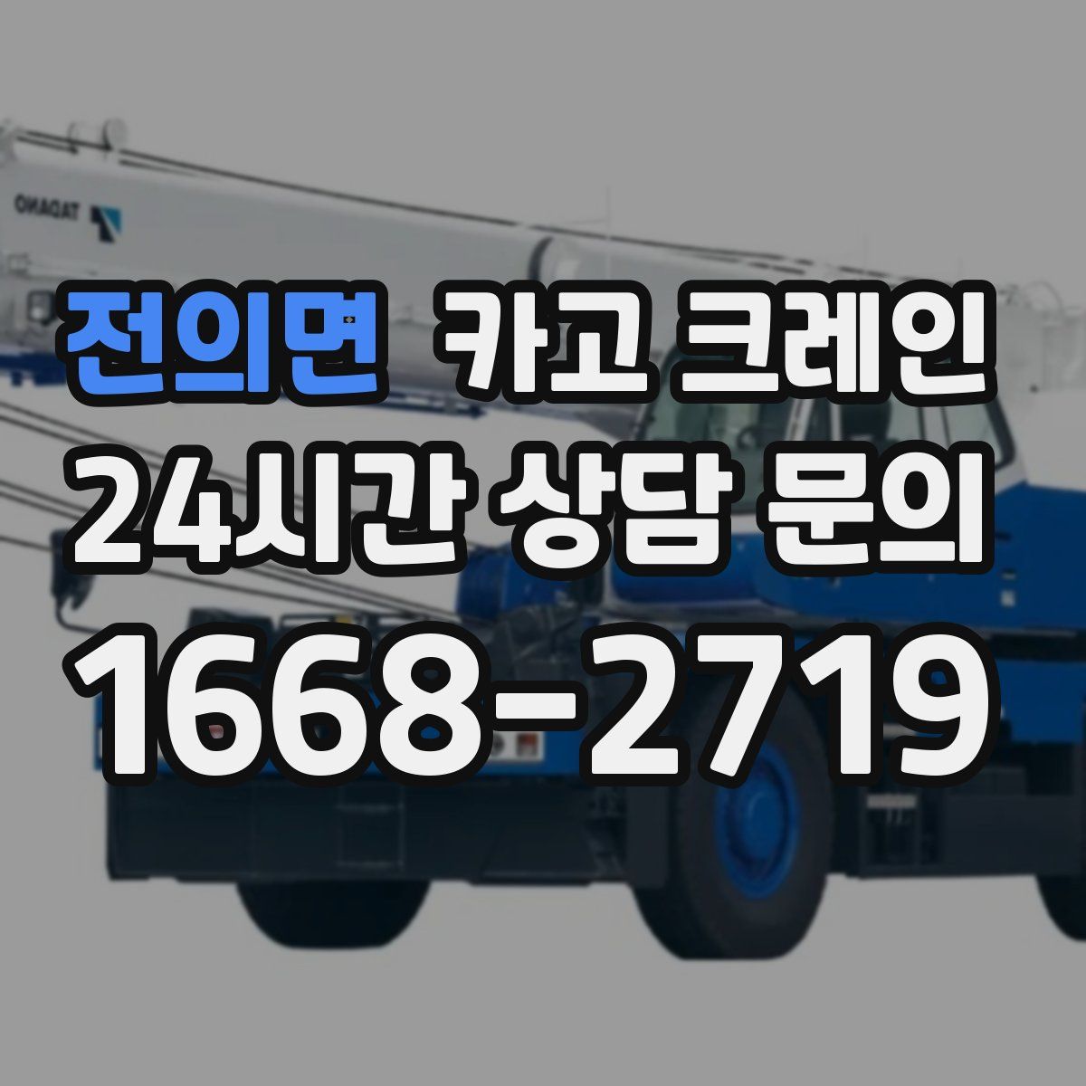 전의면 카고 크레인