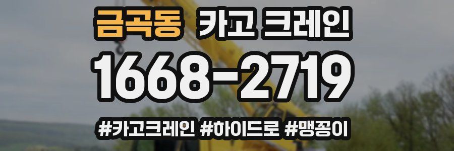 금곡동 크레인 작업
