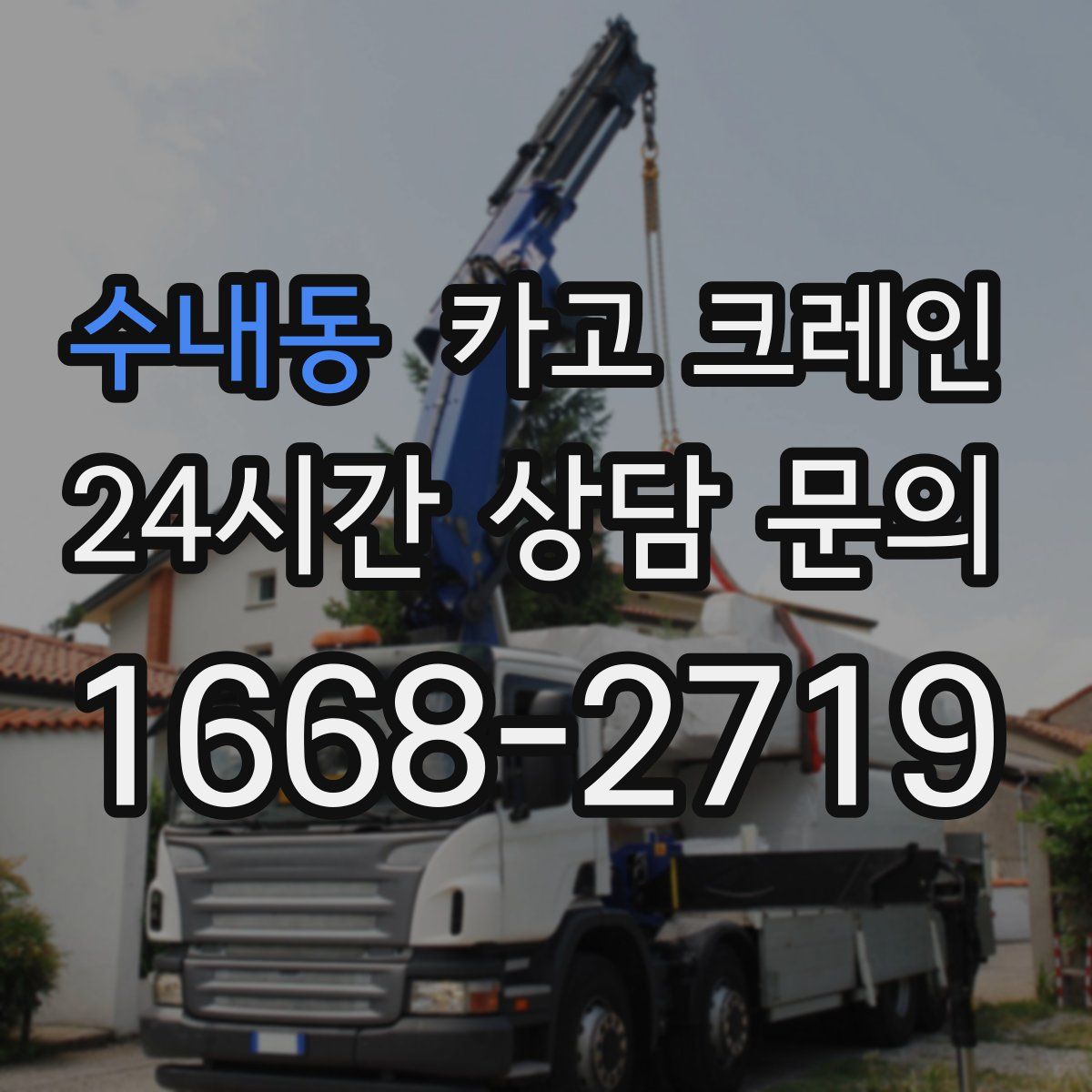 수내동 카고 크레인