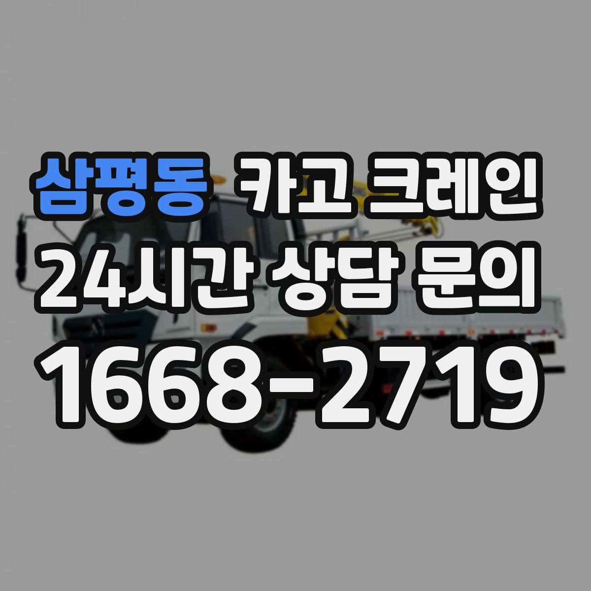 삼평동 카고 크레인