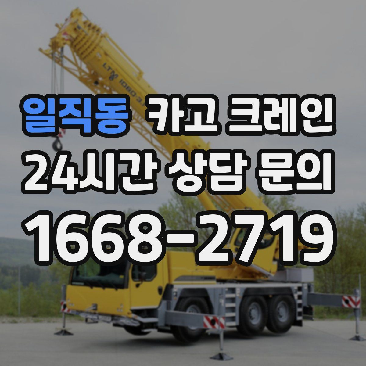 일직동 카고 크레인