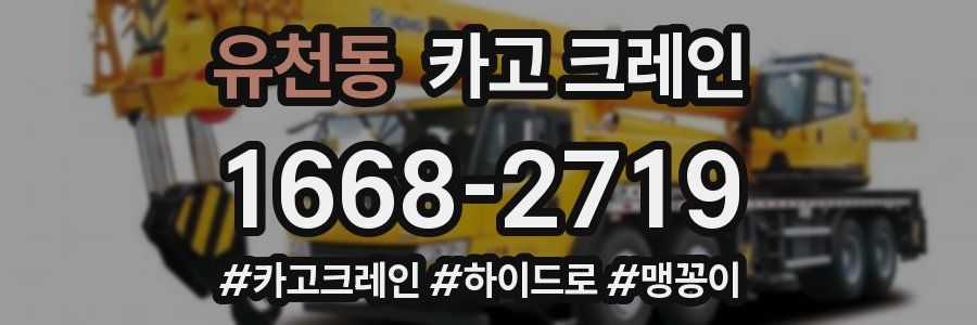 유천동 크레인 작업