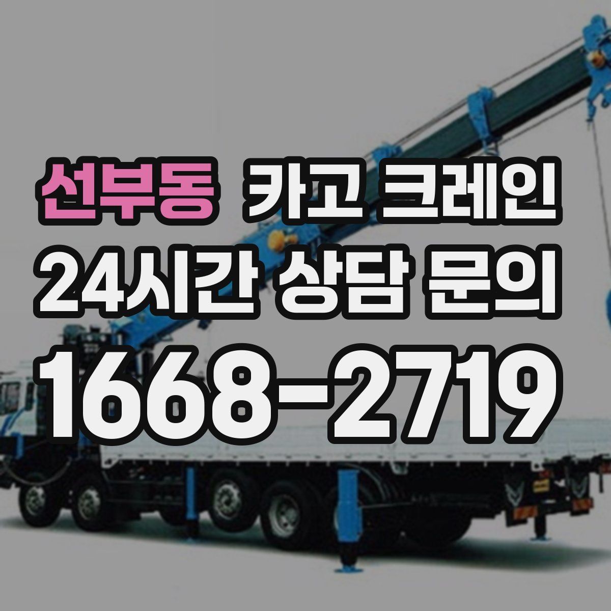 선부동 카고 크레인