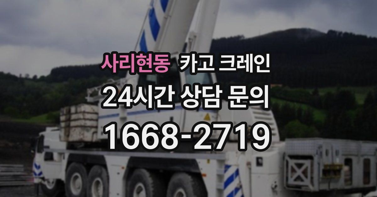 사리현동 크레인