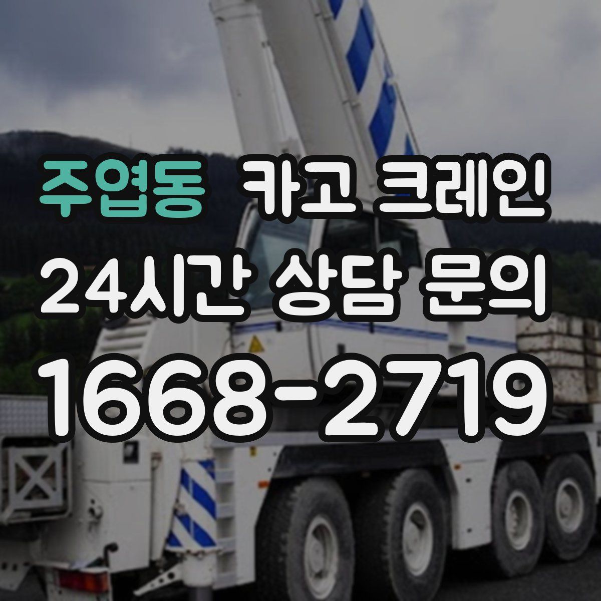 주엽동 카고 크레인