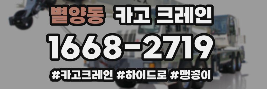 별양동 크레인 작업