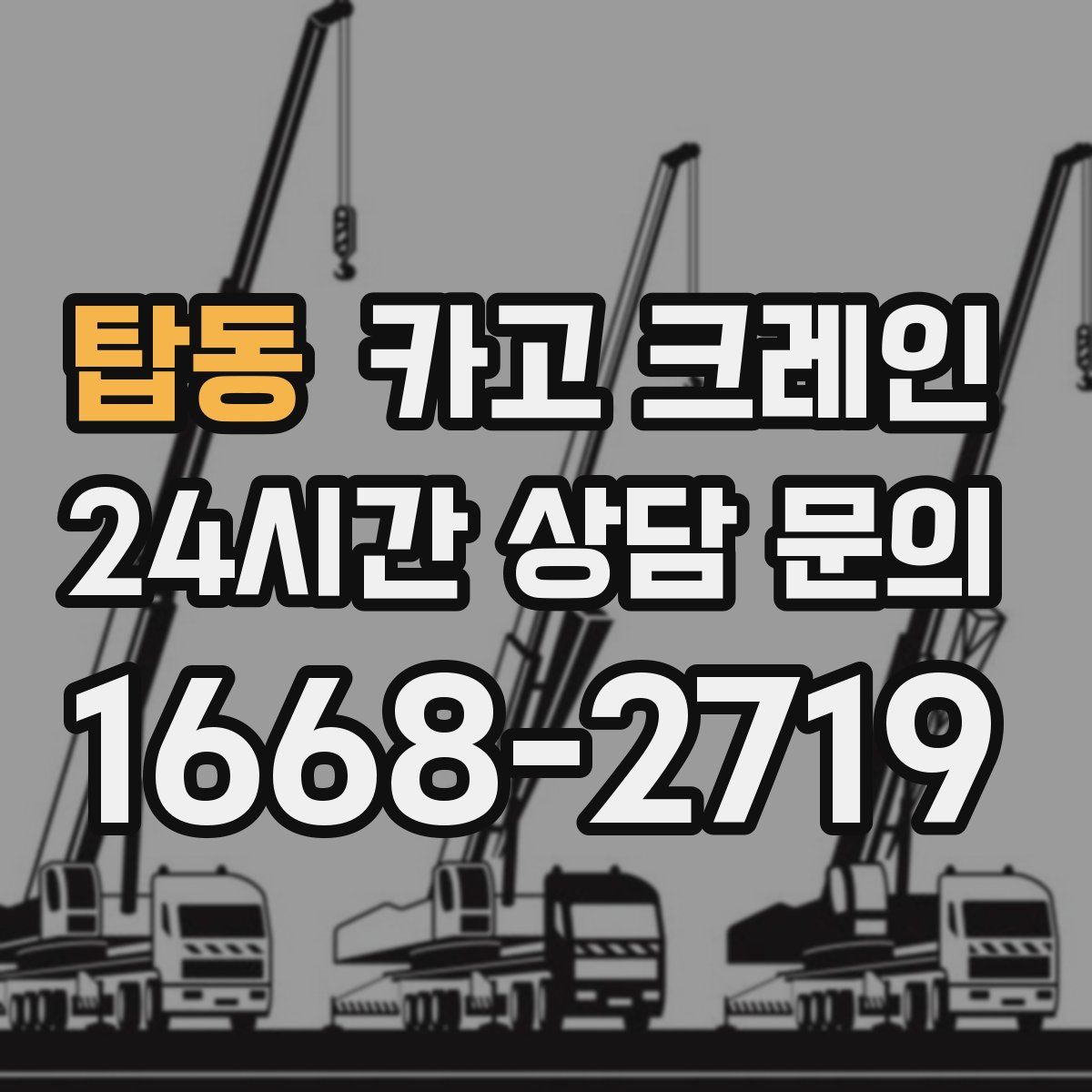 탑동 카고 크레인