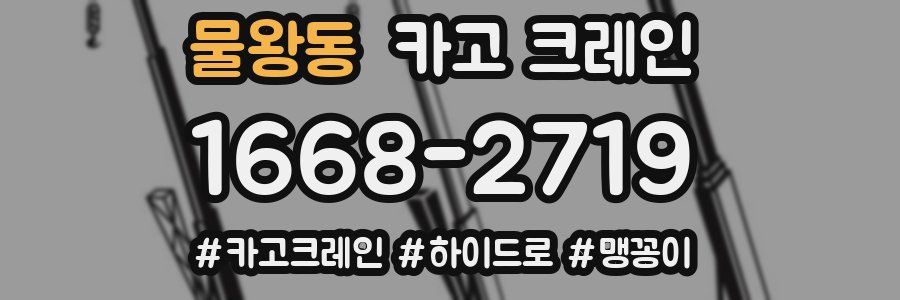 물왕동 크레인 작업