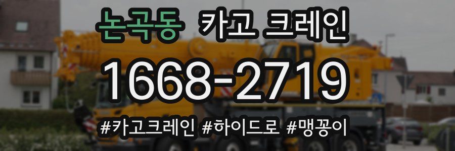 논곡동 크레인 작업