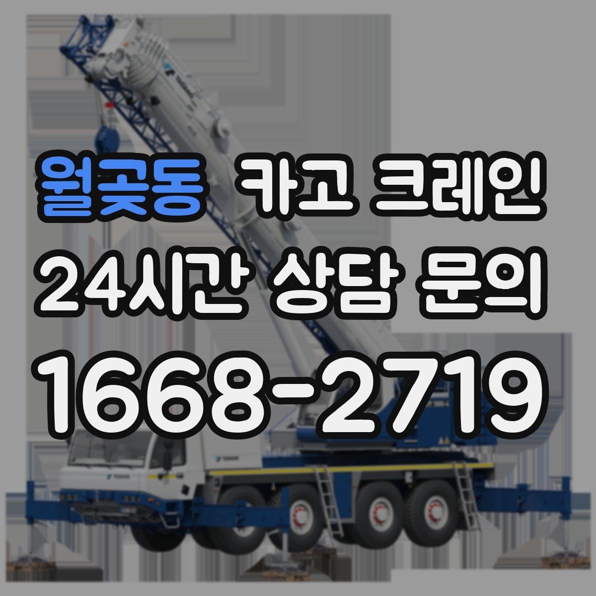 월곶동 카고 크레인 골목 현장도 가능한 장비 매칭 안내