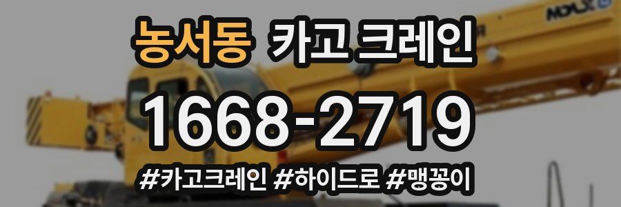 농서동 크레인 작업