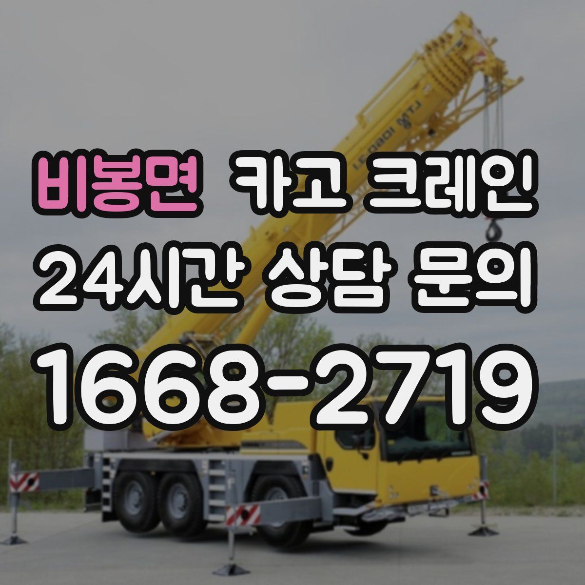 비봉면 카고 크레인