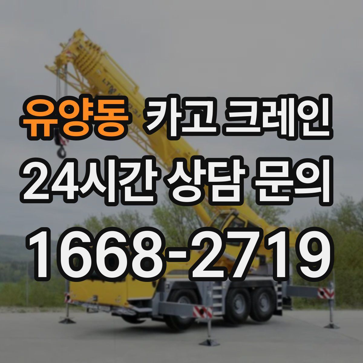 유양동 카고 크레인
