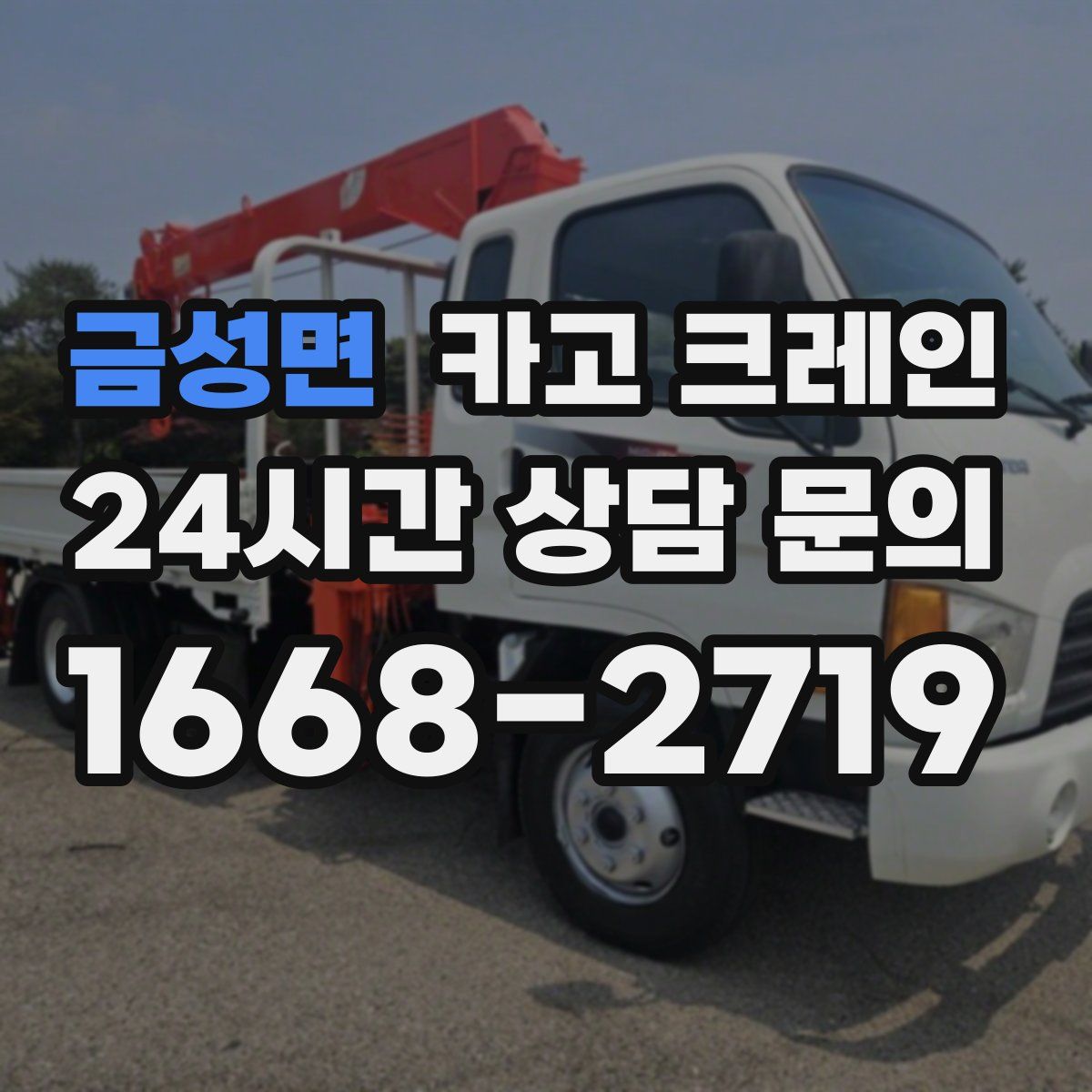 금성면 카고 크레인