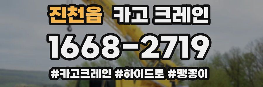 진천읍 크레인 작업