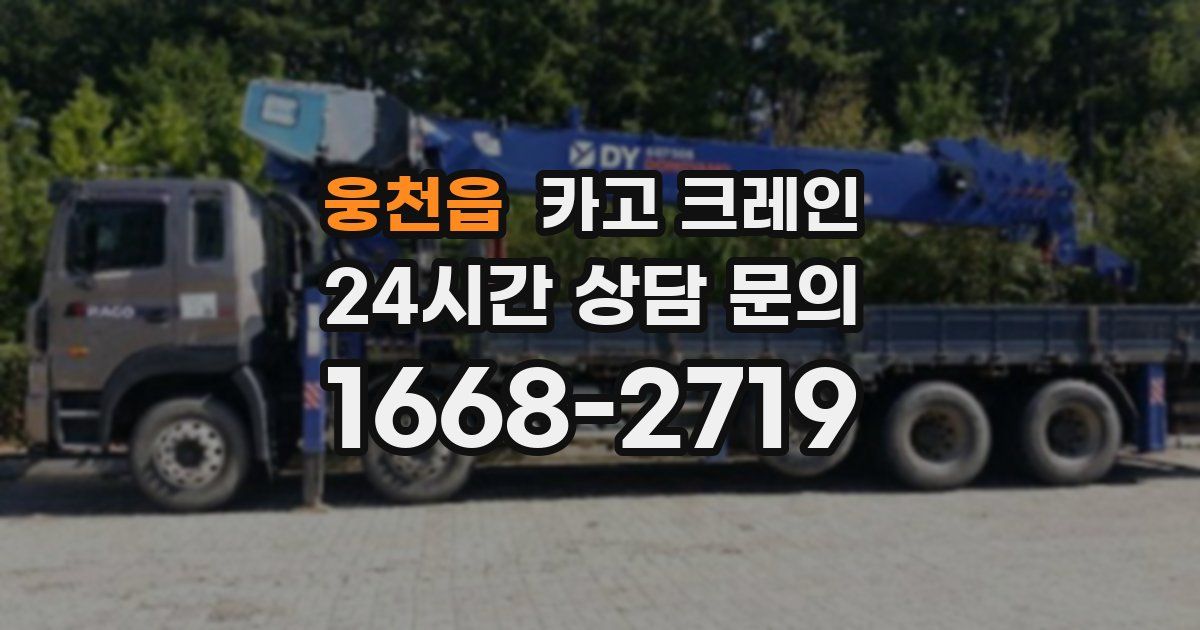 웅천읍 크레인