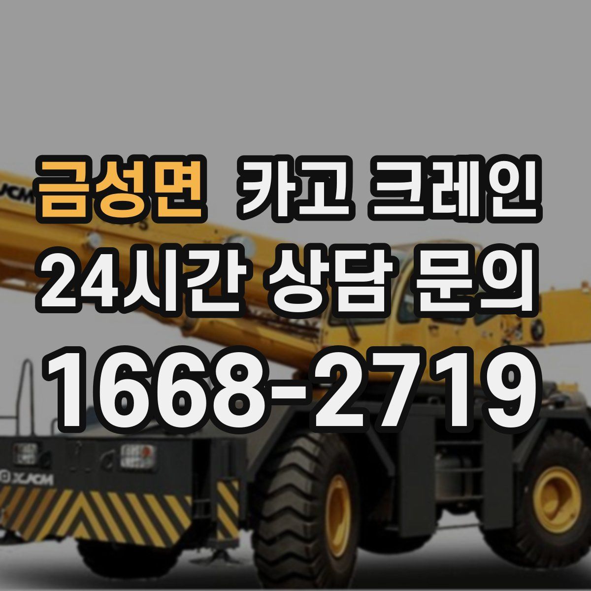 금성면 카고 크레인