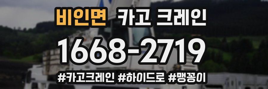 비인면 크레인 작업