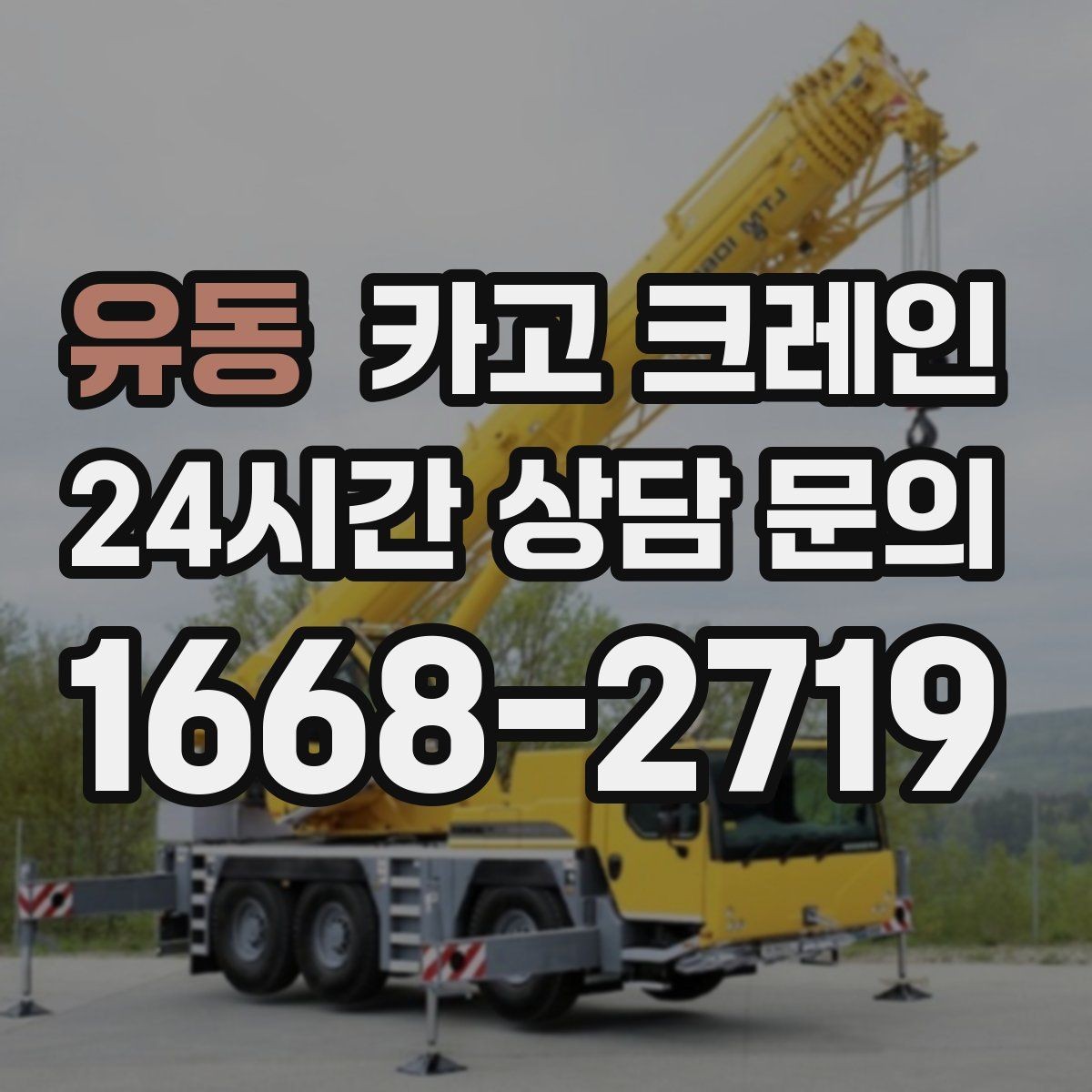 유동 카고 크레인 동시 하역이 필요한 날 운영 팁