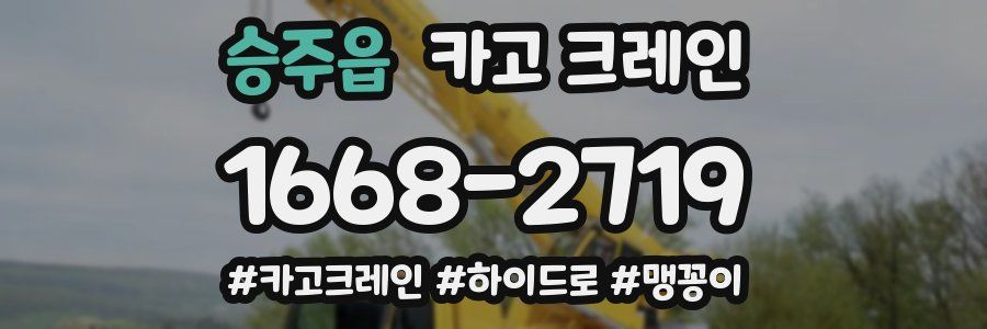 승주읍 크레인 작업