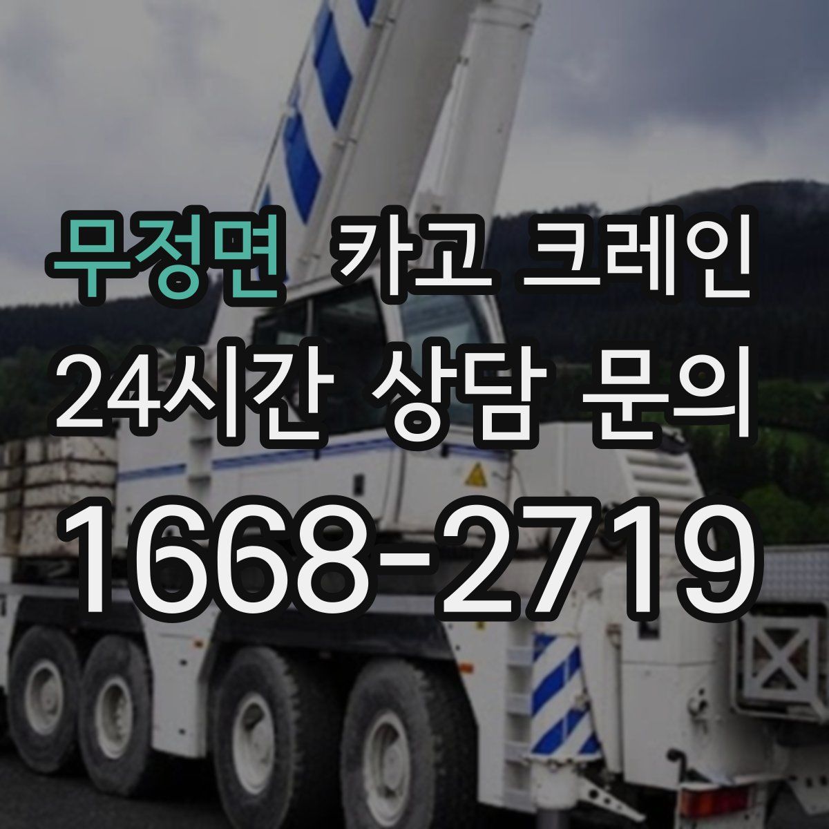 무정면 카고 크레인