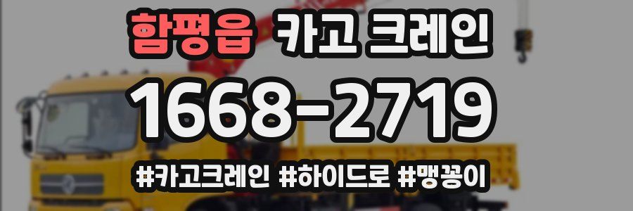 함평읍 크레인 작업