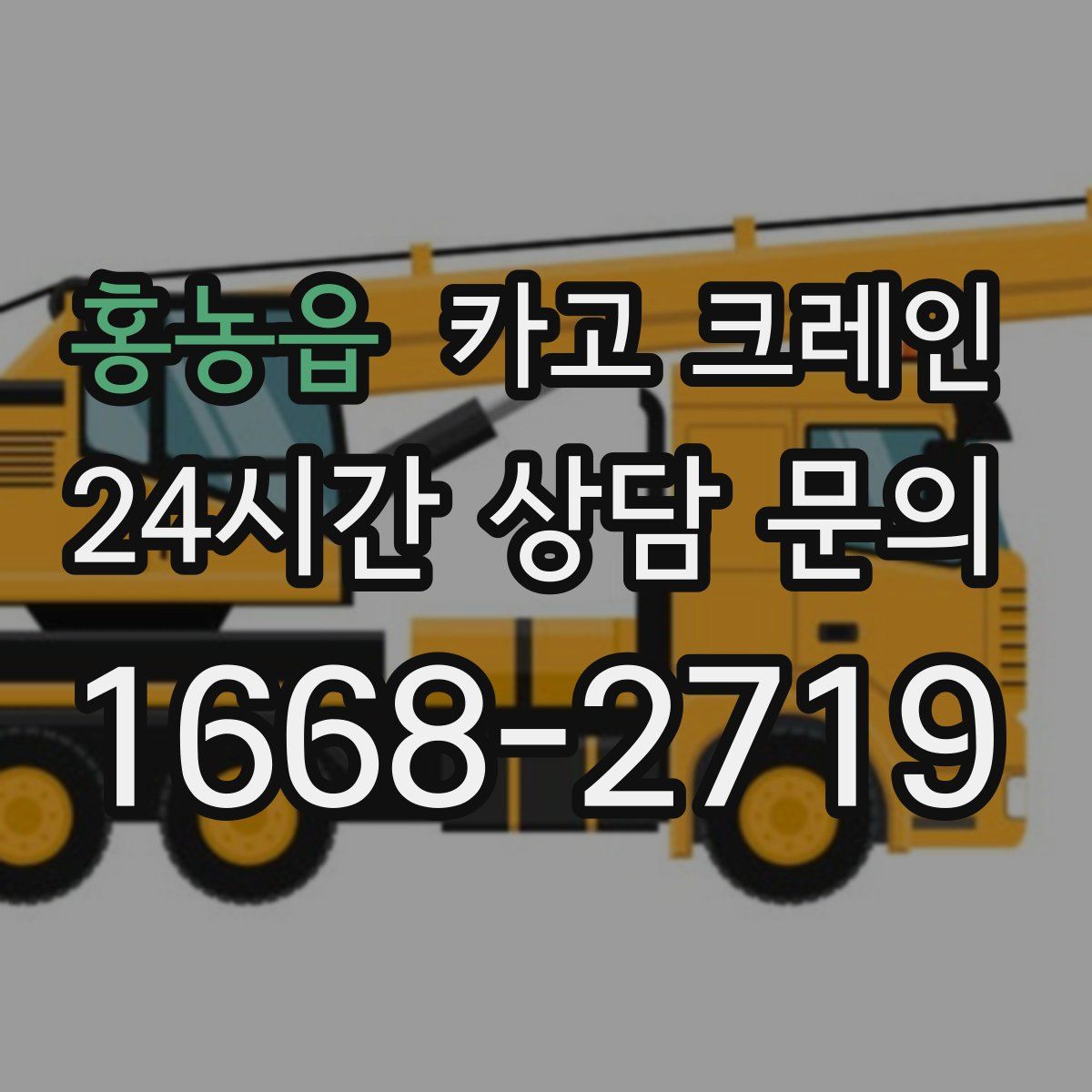 홍농읍 카고 크레인