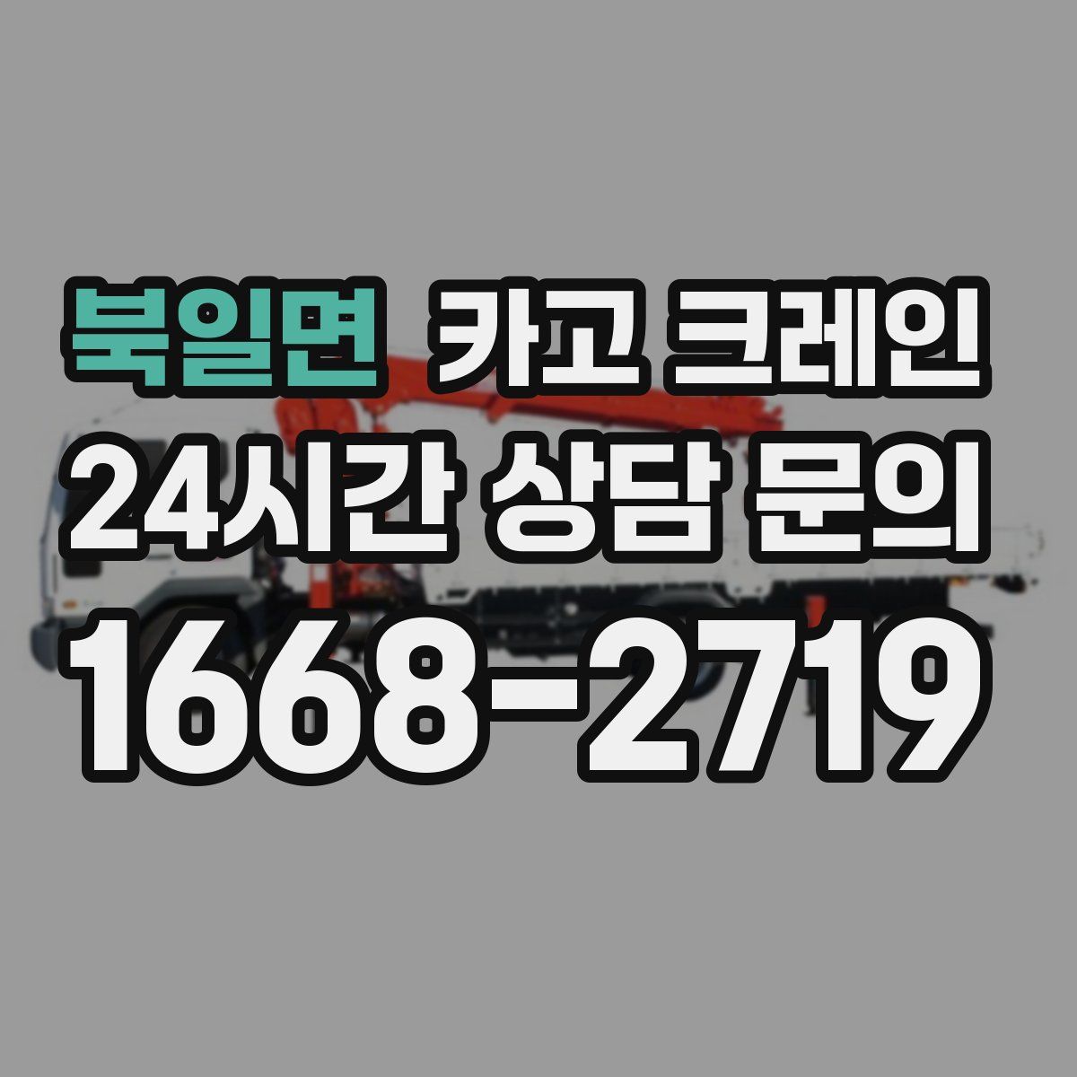 북일면 카고 크레인