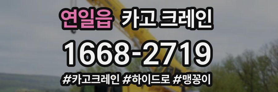 연일읍 크레인 작업