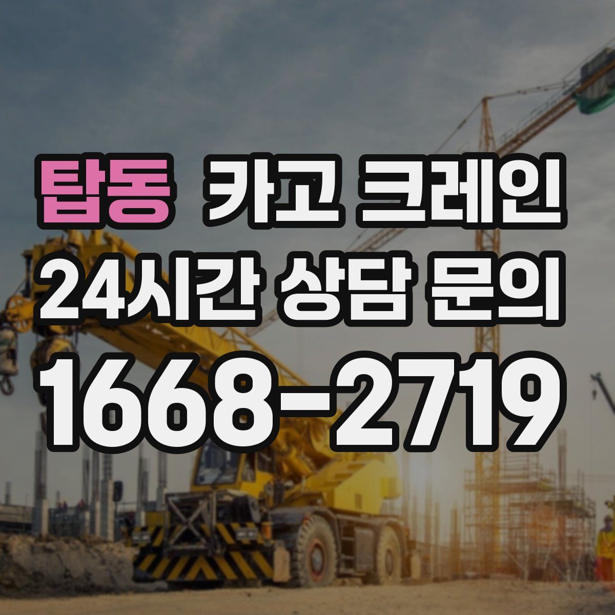 탑동 카고 크레인