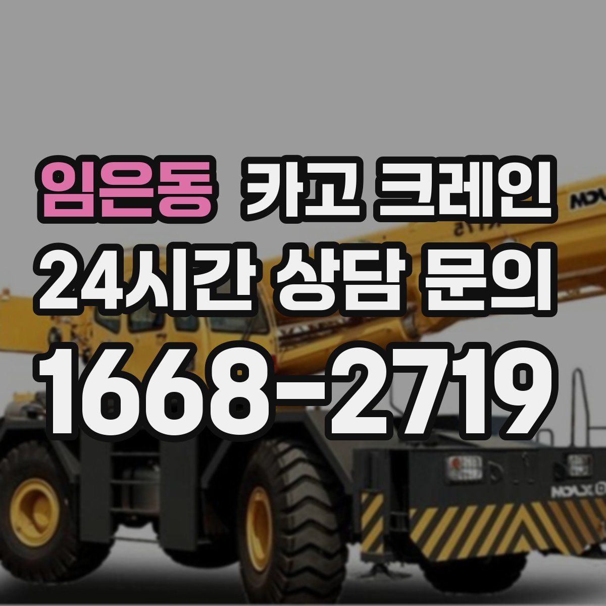 임은동 카고 크레인