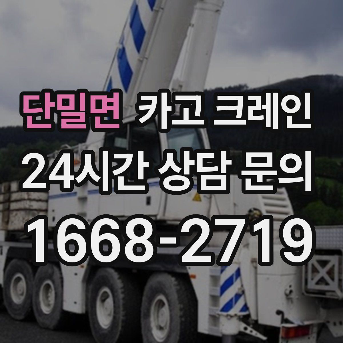 단밀면 카고 크레인