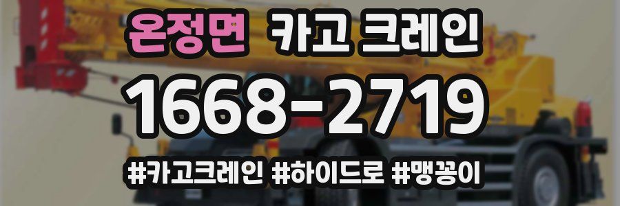 온정면 크레인 작업